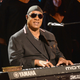 Stevie Wonder (Kevin Mazur/Hand in Hand/Getty Images)